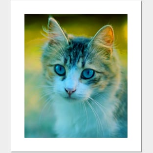 Cute kitten Posters and Art